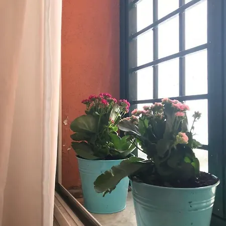 La Casa Del Fotografo شقة *