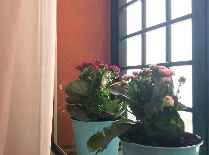 La Casa Del Fotografo Apartment *